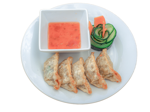 12. Vegetarische Gyoza (5 STK.)