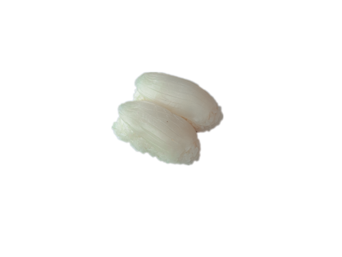 18. Ika